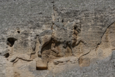 gallery/madara_shumen